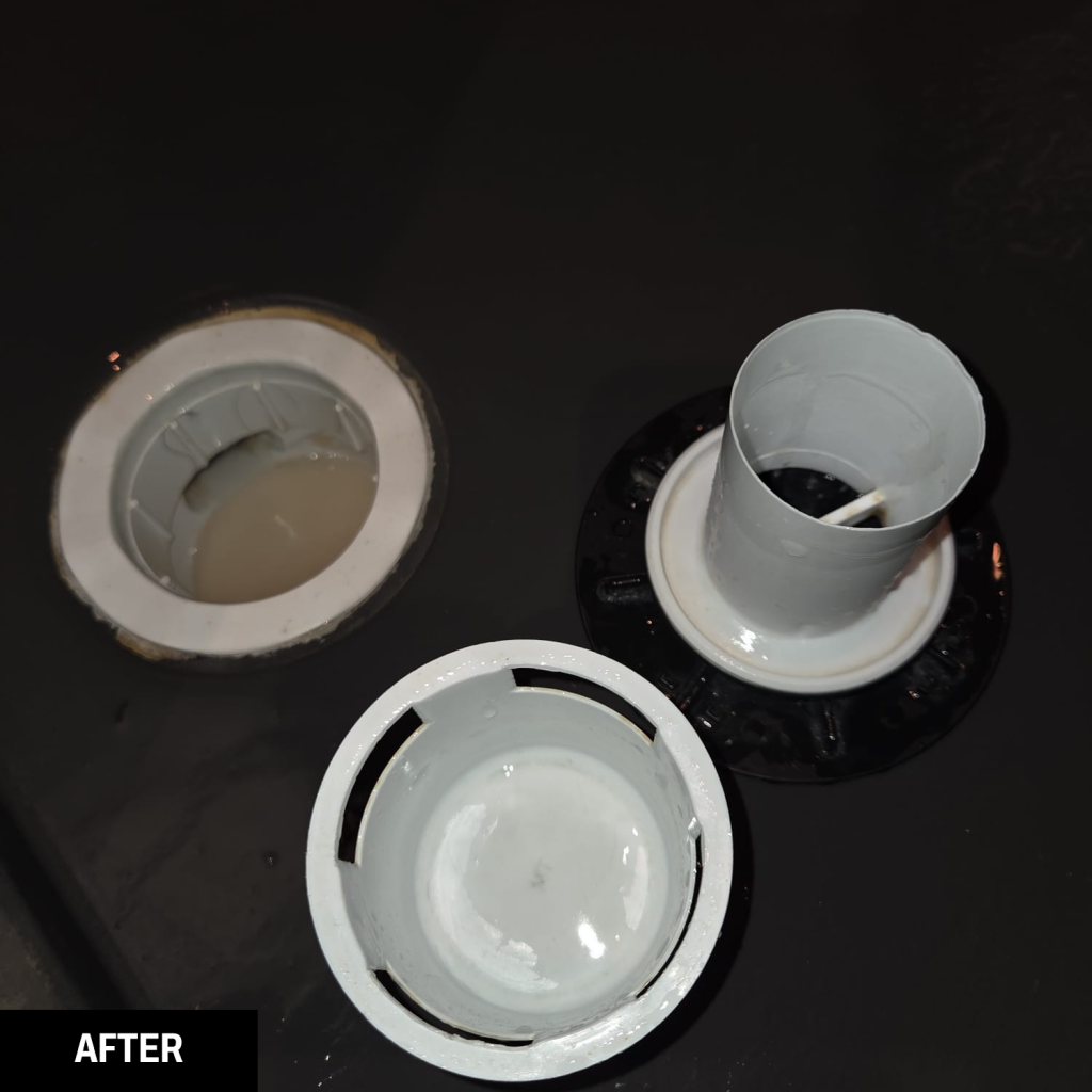 Shower Plug After Clean