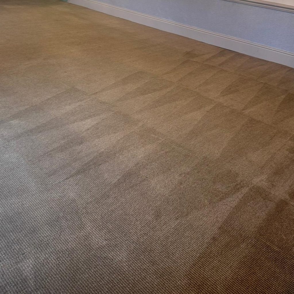 A carpet after a Trojan FM Clean