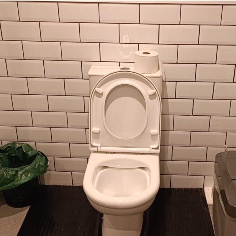 Office toilet after a Trojan FM clean