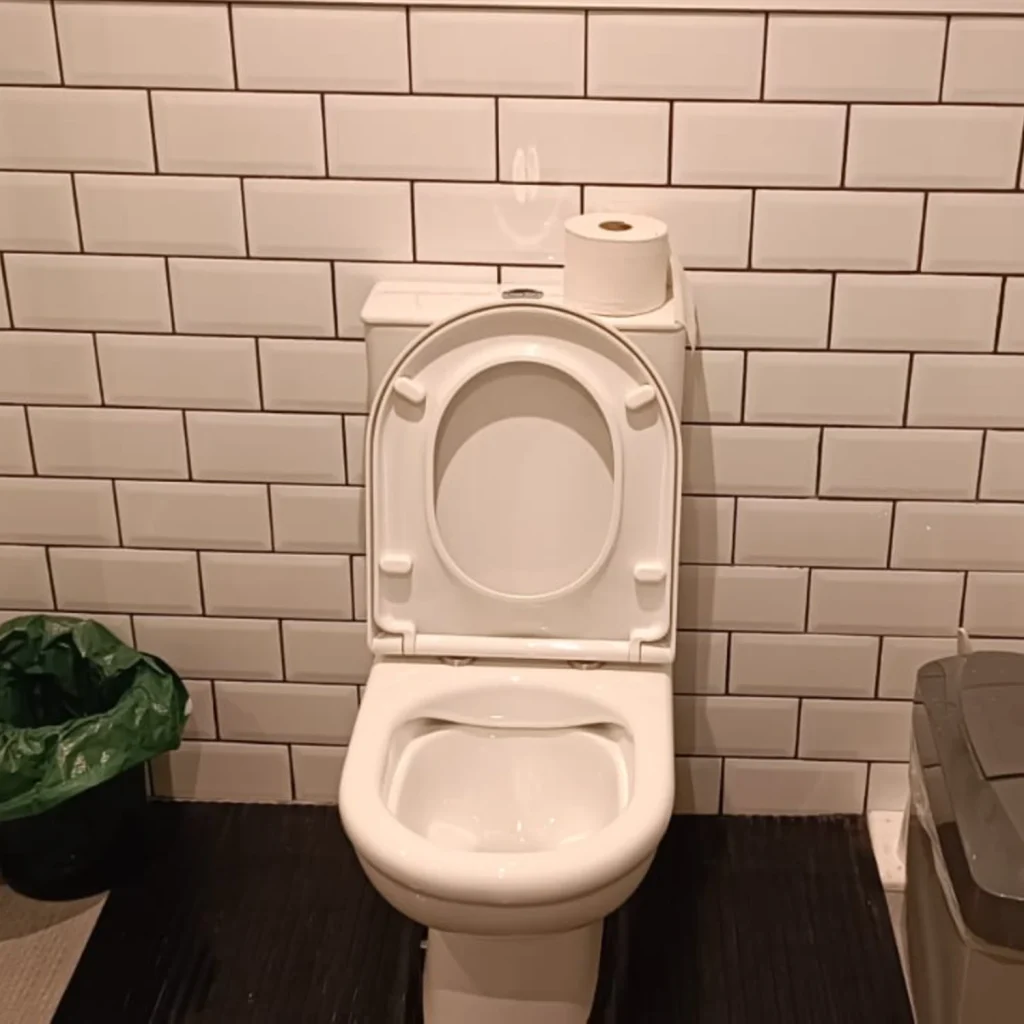 Tieva offices toilet after a Trojan FM office clean